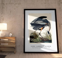 John James Audubon - Great blue Heron from Birds of America (1827)