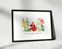 Tanigami Konan - Vintage antirrhinum flower