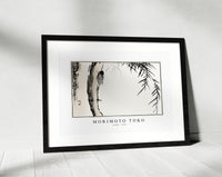 Morimoto Toko - Cicada illustration from Churui Gafu (1910)