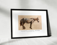 Jacques Laurent Agasse - Study of a Grey Horse (ca. 1800)