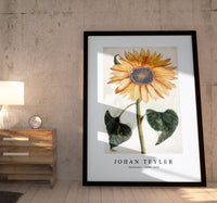 Johan Teyler - Sunflower (1688-1698)