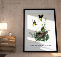 John James Audubon - Yellow-breasted Chat from Birds of America (1827)