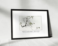 Watanabe Seitei - White cockatoo perched on a branch. Illustration 1890-1891