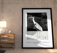 Samuel Jessurun De Mesquita - Heron (Reiger) (1911)