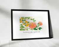 Tanigami Konan - Thunbergia & aster flower