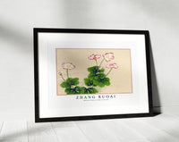 Zhang Ruoai - Mallow flowers (18th Century)