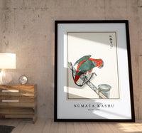 Numata Kashu - Macaw illustration from Pictorial Monograph of Birds (1885)