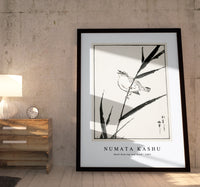 Numata Kashu - Reed-Bunting and Reed illustration from Pictorial Monograph of Birds (1885)