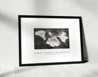 Samuel Jessurun De Mesquita-Amaryllissen en aronskelk (1918)