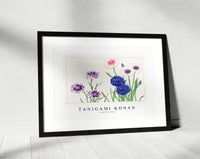 Tanigami Konan - Cornflower flower