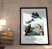 John James Audubon - Belted Kingfisher from Birds of America (1827)