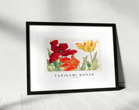 Tanigami Konan - Parrot tulip