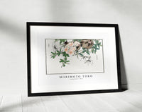 Morimoto Toko - Pomegranate illustration from Churui Gafu (1910)