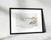 Numata Kashu - Falcated Teal and Reed illustration from Pictorial Monograph of Birds (1885)