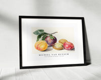 Michiel Van Huysum - Fruits by Michiel van Huysum (1714-1760)