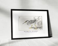 Numata Kashu - Eastern Whimbrel and Wisteria Vine illustration from Pictorial Monograph of Birds (1885)