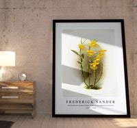 Frederick Sander - Dendrobium brymerianum from Reichenbachia Orchids-1847-1920