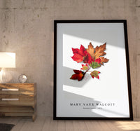 Mary Vaux Walcott - Autumn Leaves (1876)