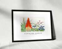 Tanigami Konan - Red hot pokers & lobelia