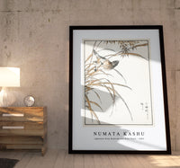 Numata Kashu - Japanese Grey Bunting and Rise Plant illustration from Pictorial Monograph of Birds (1885)