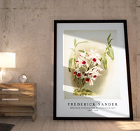 Frederick Sander - Dendrobium leechianum from Reichenbachia Orchids-1847-1920