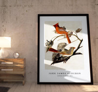 John James Audubon - Cardinal Grosbeak (1811)