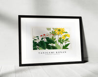 Tanigami konan - Clerodendrum & rudbeckia flower