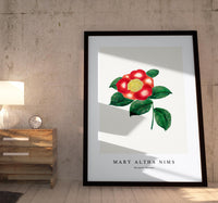 Mary Altha Nims - Chinese Flower