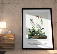 John James Audubon - Field Sparrow from Birds of America (1827)