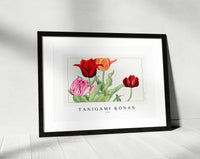 Tanigami Konan - Tulip