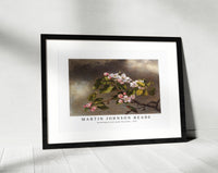 Martin Johnson Heade - Hummingbird and Apple Blossoms (1875)