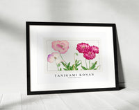 Tanigami Konan - Vintage poppy flower