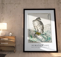 Numata Kashu - Japanese Golden Eagle and Dark Blue Sea illustration from Pictorial Monograph of Birds (1885)