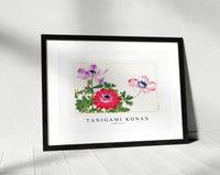 Tanigami Konan - Poppy flower