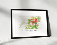 Tanigami Konan - Passion flower