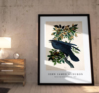 John James Audubon - Raven from Birds of America (1827)
