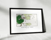 Morimoto Toko - Moth illustration from Churui Gafu (1910)