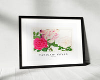 Tanigami Konan - Rose flower