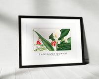 Tanigami Konan - Lathyrus & calla lily flower