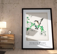 Numata Kashu - Narcissus Flycatcher and Chrysanthemum illustration from Pictorial Monograph of Birds (1885)