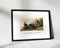 John James Audubon - Spotted Grouse from Birds of America (1827)