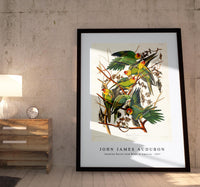 John James Audubon - Carolina Parrot from Birds of America (1827)