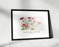 Tanigami Konan - Cosmos flower