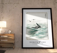 Numata Kashu - Riu Kiu House Swallow illustration from Pictorial Monograph of Birds (1885)