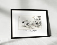 Numata Kashu - Japanese Crane and Bamboo illustration from Pictorial Monograph of Birds (1885)