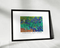 Vincent Van - Gogh-Irises 1889