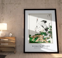 Numata Kashu - Japanese Stork and Pine Tree illustration from Pictorial Monograph of Birds (1885)