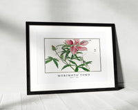 Morimoto Toko - Flower illustration from Churui Gafu (1910)