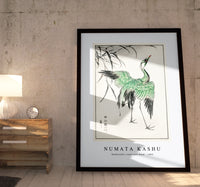 Numata Kashu - Demoiselle crane and Reed illustration from Pictorial Monograph of Birds (1885)