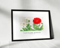 Tanigami Konan - Vintage poppy flower